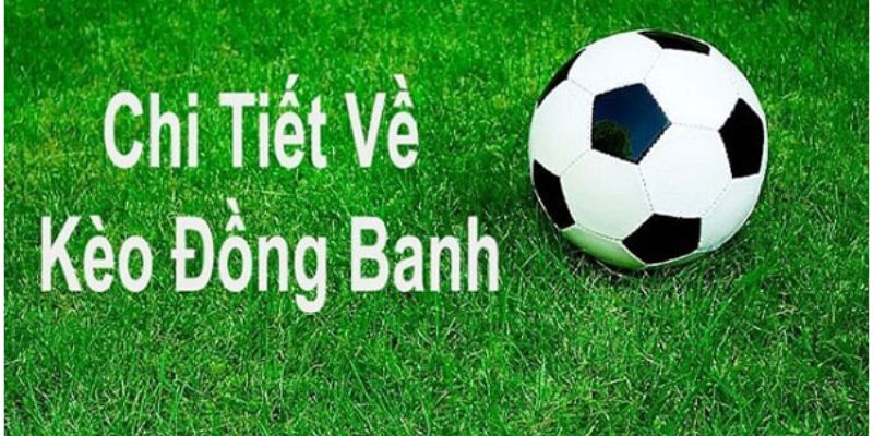 Hướng dẫn cách đặt cược với kèo đồng banh